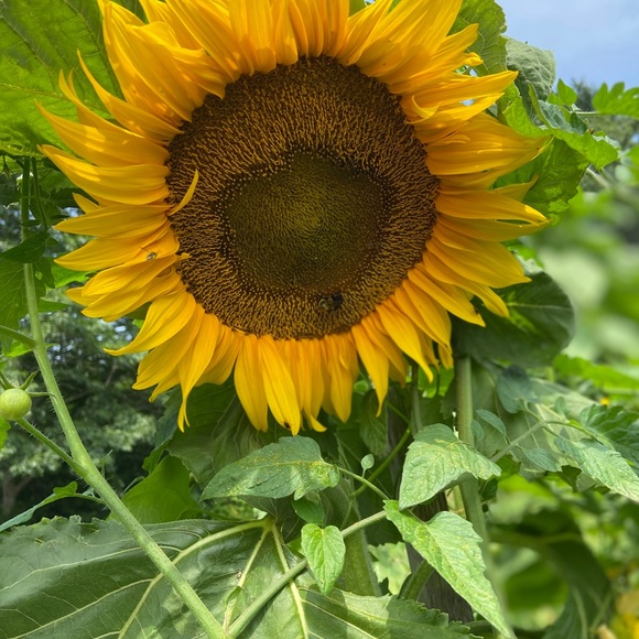 Meet me๐๐ - Picture 7 of 7